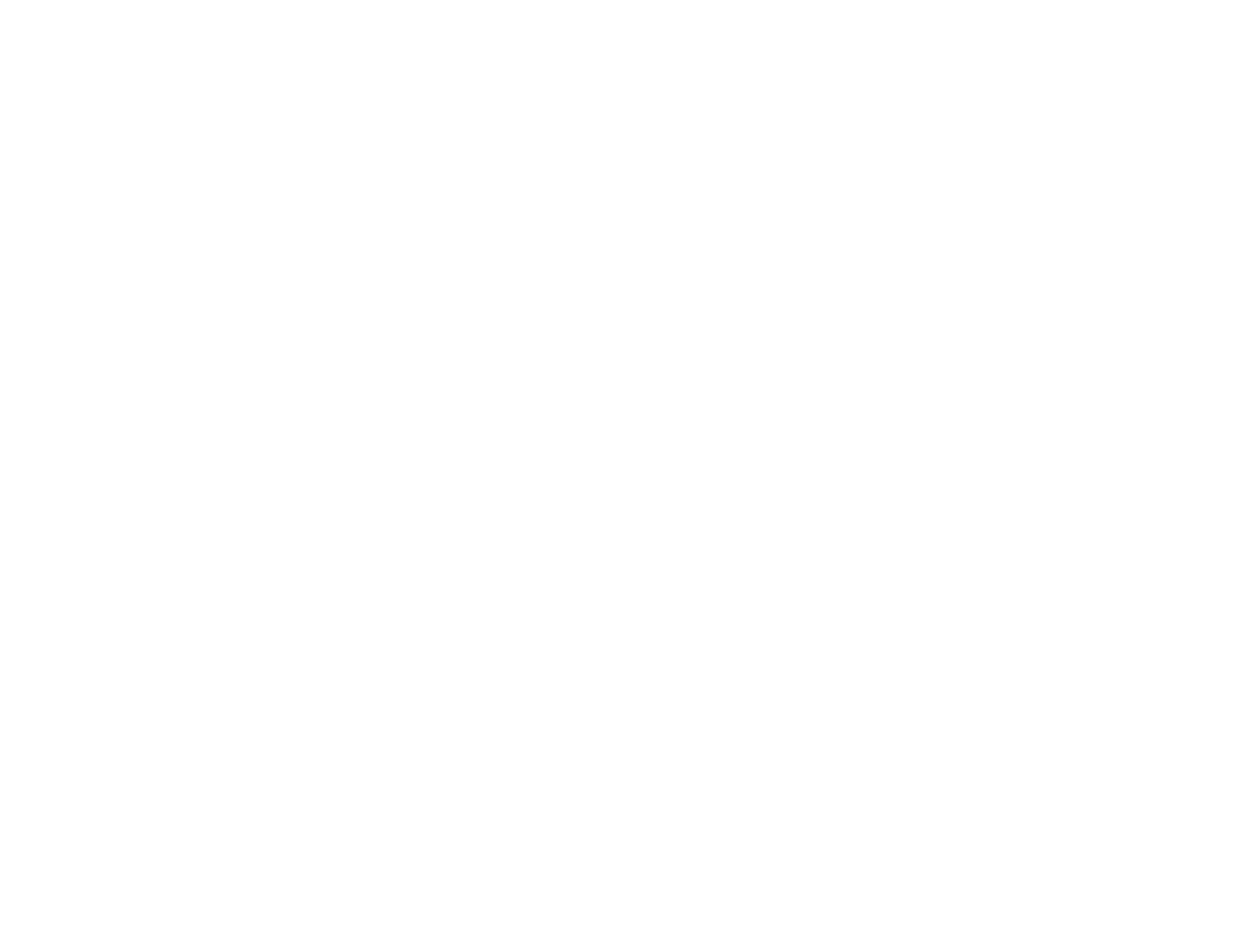 WSE_MASTER LOGO_MONO_NEGATIVE
